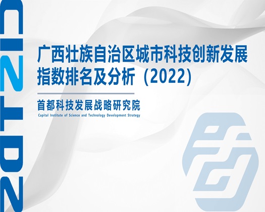 美女被大鸡巴狂操【成果发布】广西壮族自治区城市科技创新发展指数排名及分析（2022）